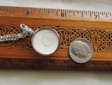 Natural Operculum Seashell Pendant Necklace