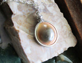 Natural Operculum Seashell Pendant Necklace