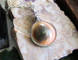 Natural Operculum Seashell Pendant Necklace