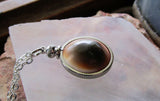 Natural Operculum Seashell Pendant Necklace