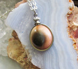 Natural Operculum Seashell Pendant Necklace