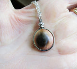 Natural Operculum Seashell Pendant Necklace