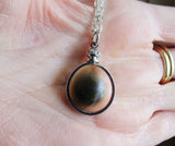 Natural Operculum Seashell Pendant Necklace