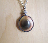 Natural Operculum Seashell Pendant Necklace