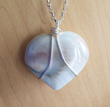 Eye of Shiva Operculum Seashell Heart Pendant Necklace