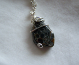 Fossil Shell Natural Agate Wire Wrapped Stone Pendant