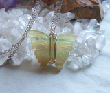 Natural Rainbow Fluorite Carved Butterfly Gemstone Wire Wrapped Pendant