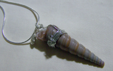 Silver Wire Wrapped Natural Seashell and Moonstone Pendant